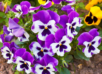 Similar image 1074032