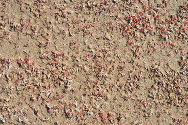 Similar image 1074300