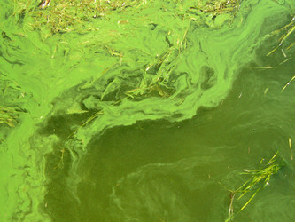 Similar image 1074473