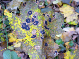 Similar image 1074491