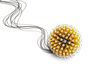 Similar image 1074500