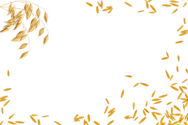 Similar image 1074547