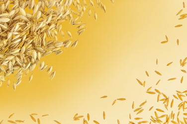 Similar image 1074554