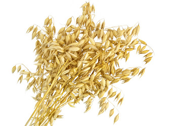 Similar image 1074558