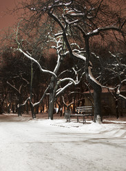 Similar image 1074630