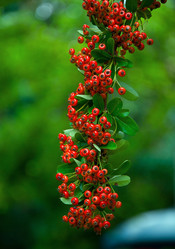 Similar image 1074718