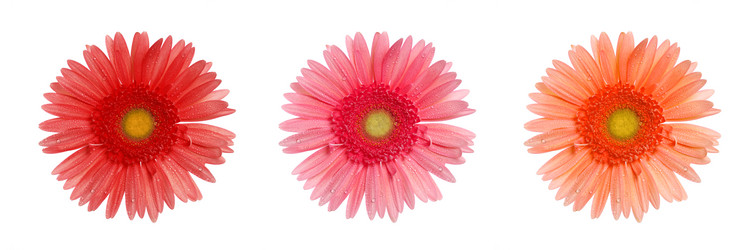 Similar image 1074845