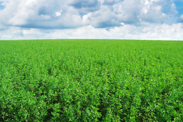 Similar image 1074951