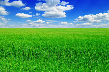 Similar image 1074959