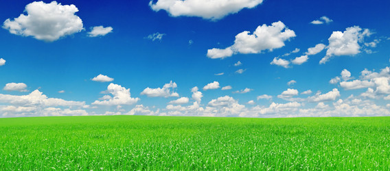 Similar image 1074961