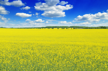 Similar image 1074969