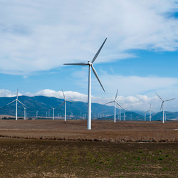 Similar image 1074973