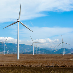 Similar image 1074977