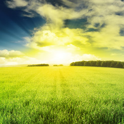 Similar image 1074989