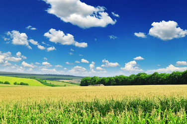 Similar image 1074992