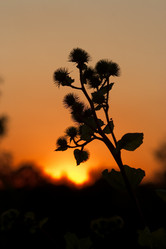 Similar image 1075065