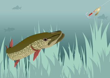 Similar image 1075090