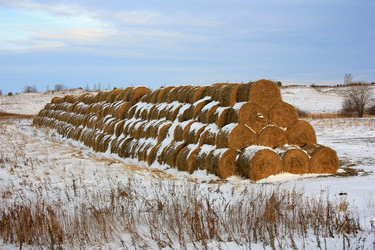 Similar image 1075123