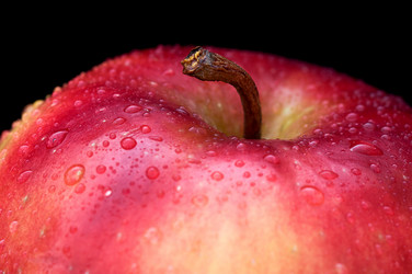 Similar image 1075128