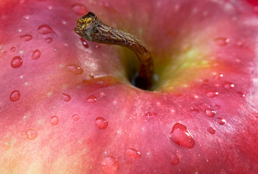 Similar image 1075129