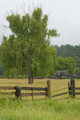 Similar image 1075139