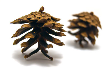 Similar image 1075230