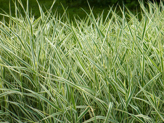 Similar image 1075303