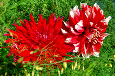 Similar image 1075315