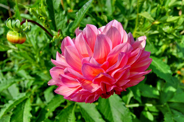 Similar image 1075319