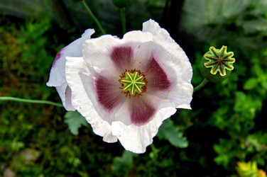 Similar image 1075324