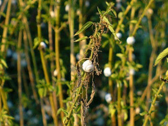 Similar image 1075325