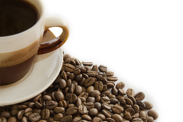 Similar image 1075329