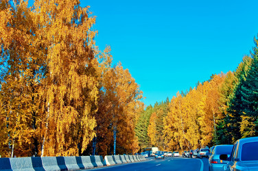 Similar image 1075411