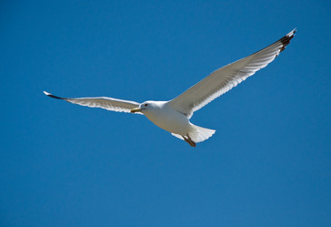 Similar image 1075492