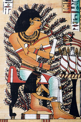 Similar image 1075510