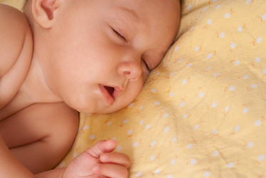 Similar image 1075631