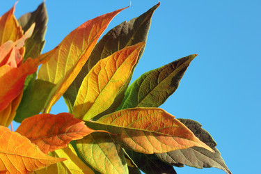 Similar image 1075860