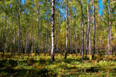 Similar image 1075942