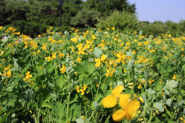 Similar image 1076094