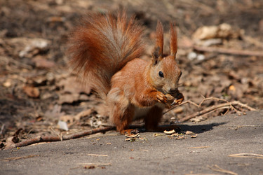 Similar image 1076120