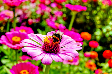 Similar image 1076151