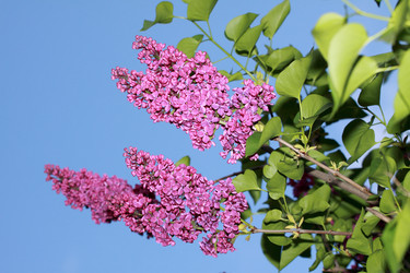 Similar image 1076168