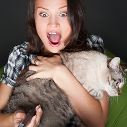 Similar image 1076181