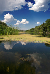 Similar image 1076284