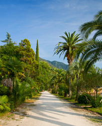 Similar image 1076291