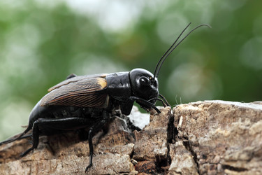 Similar image 1076325