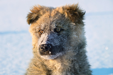 Similar image 1076423