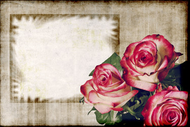 Similar image 1076534