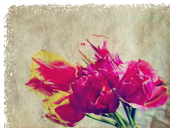 Similar image 1076536