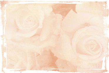 Similar image 1076542